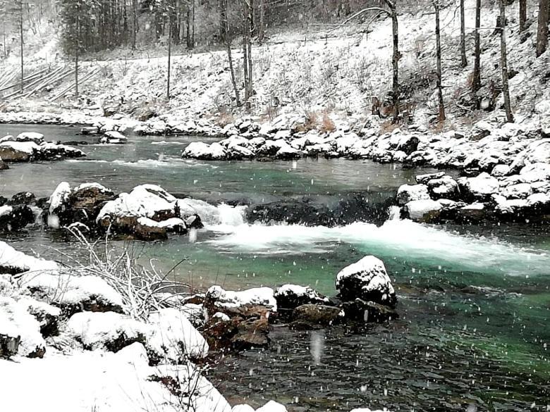 Penzion Black Sheeps Adventures Вилдалпен Екстериор снимка